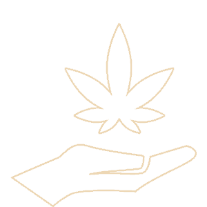 Cannabis product selection icon