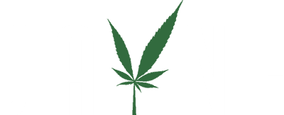 Jayne cannabis dispensary logo