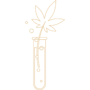 Cannabis testing icon