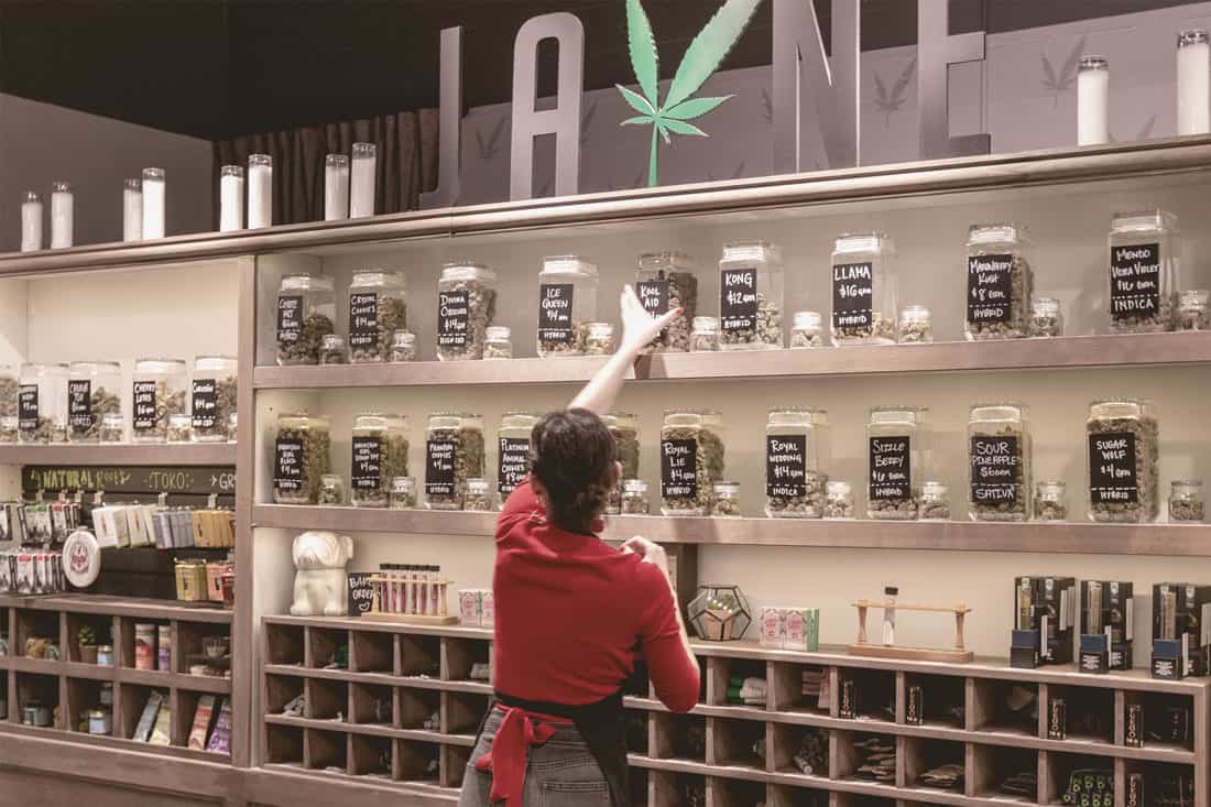 Jayne Dispensary Budtender grabs Cannabis Jar